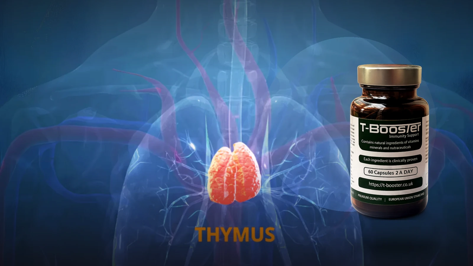 Thymus illustration with T-Booster bottle used as the programme overview film image